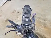 2020 Harley-Davidson XL883 фото