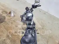 2020 Harley-Davidson XL883 фото