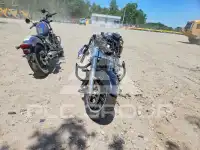 2020 Harley-Davidson FL photo