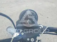2020 Harley-Davidson XL1200 фото