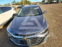 2020 Chevrolet Malibu фото