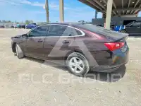 2020 Chevrolet Malibu фото
