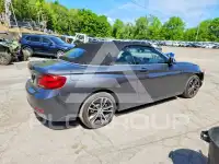 2020 BMW 230 photo
