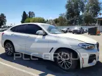 2020 BMW X4 фото
