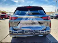 2020 Infinity QX50 photo