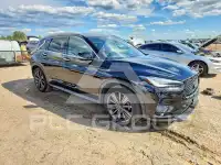 2020 Infinity QX50 photo