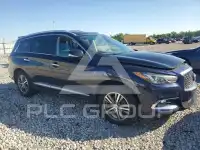 2020 Infinity QX60 фото
