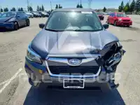 2020 Subaru Forester photo