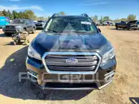 2020 Subaru ASCENT фото