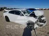 2020 Dodge CHARGER photo