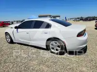 2020 Dodge CHARGER фото