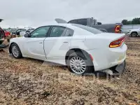 2020 Dodge CHARGER фото