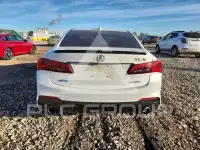 2020 Acura TLX photo