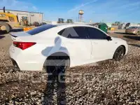 2020 Acura TLX photo