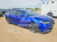 2020 Acura TLX фото
