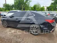 2020 Acura TLX фото