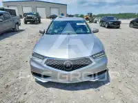 2020 Acura TLX фото