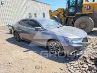 2020 Acura TLX фото
