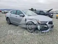2020 Acura TLX photo