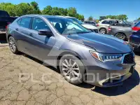2020 Acura TLX фото