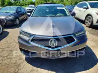 2020 Acura TLX фото