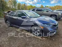 2020 Honda CIVIC фото