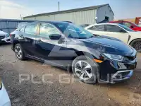 2020 Honda CIVIC фото