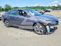 2020 Honda CIVIC фото