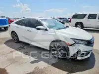 2020 Honda CIVIC фото