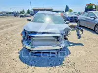 2020 Honda CIVIC фото