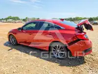 2020 Honda CIVIC фото