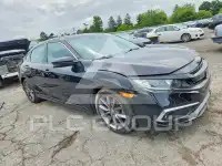 2020 Honda CIVIC фото