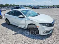 2020 Honda CIVIC фото