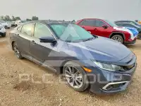 2020 Honda CIVIC photo