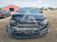 2020 Honda CIVIC фото