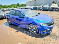 2020 Honda CIVIC фото