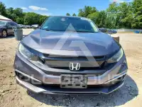 2020 Honda CIVIC фото