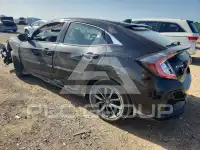 2020 Honda CIVIC фото
