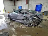 2020 Honda CIVIC photo