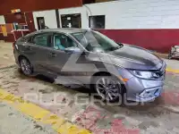 2020 Honda CIVIC фото