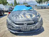 2020 Honda CIVIC photo