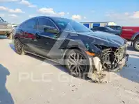 2020 Honda CIVIC фото