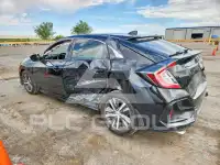 2020 Honda CIVIC фото