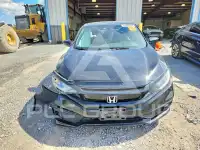 2020 Honda CIVIC фото