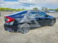 2020 Honda CIVIC фото