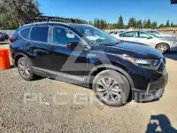 2020 Honda CR-V фото