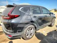 2020 Honda CR-V фото