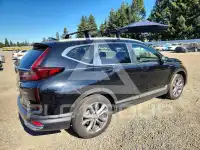 2020 Honda CR-V фото