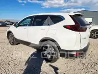 2020 Honda CR-V фото