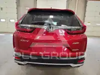 2020 Honda CR-V photo